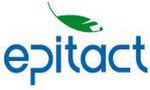 Epitact