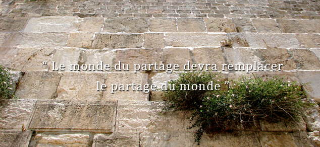 citation-optical-center